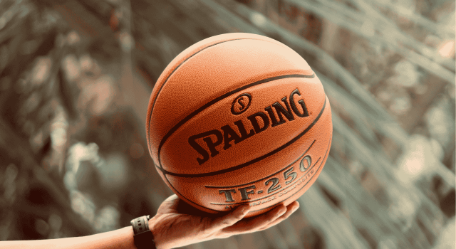 Košarkaško evropsko prvenstvo srpske dijaspore 2025